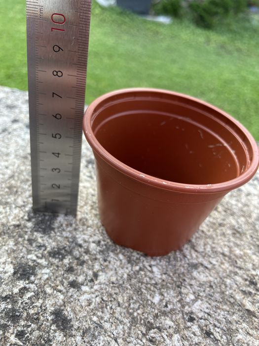 Conjunto de 50 vasos de plástico 8,5 cm.