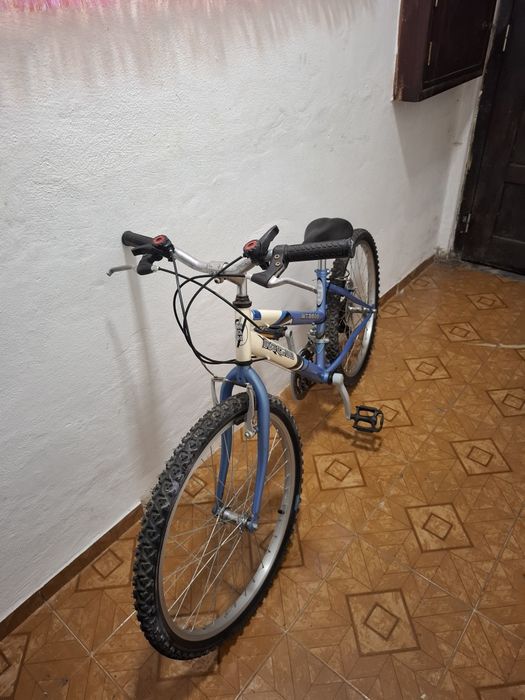 Bicicleta roda 24