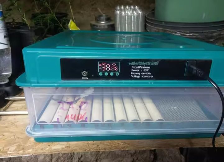 Chocadeiras automáticas