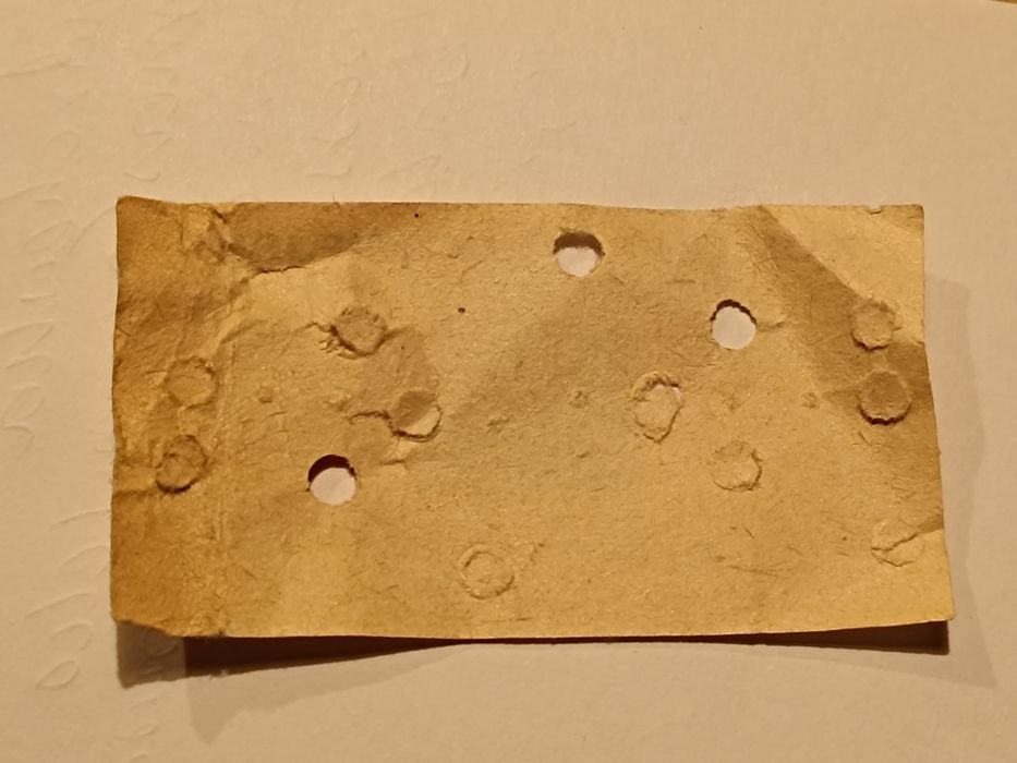 Bilet autobusowy kartonikowy PRL