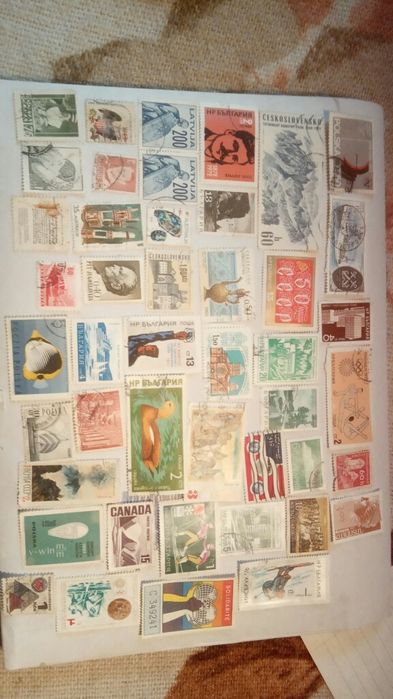 Маркидоговорная.