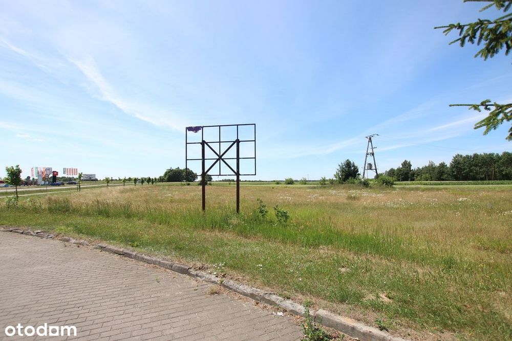 Działka usługowa min 20ar max 50ar  Pałecznica Kol