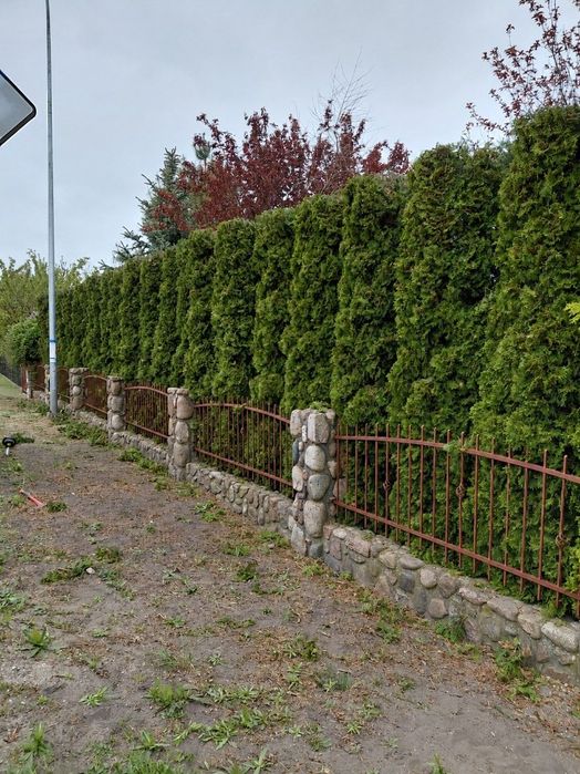TWÓJ DOM I OGRÓD – usługi ogrodnicze – Żnin i okolice