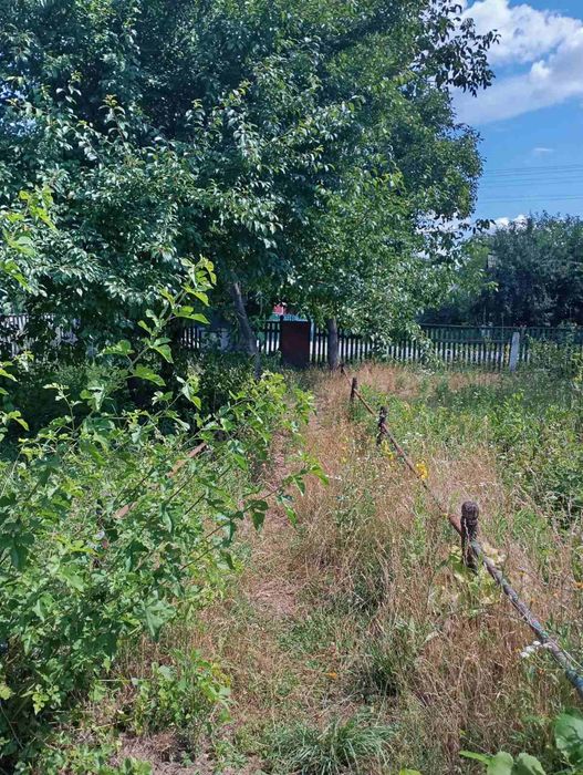 ТЕРМІНОВО  ПРОДАЄТЬСЯ  будинок на дві окремі половини смт.Червоне Бердичівський р-н, Житомирська обл