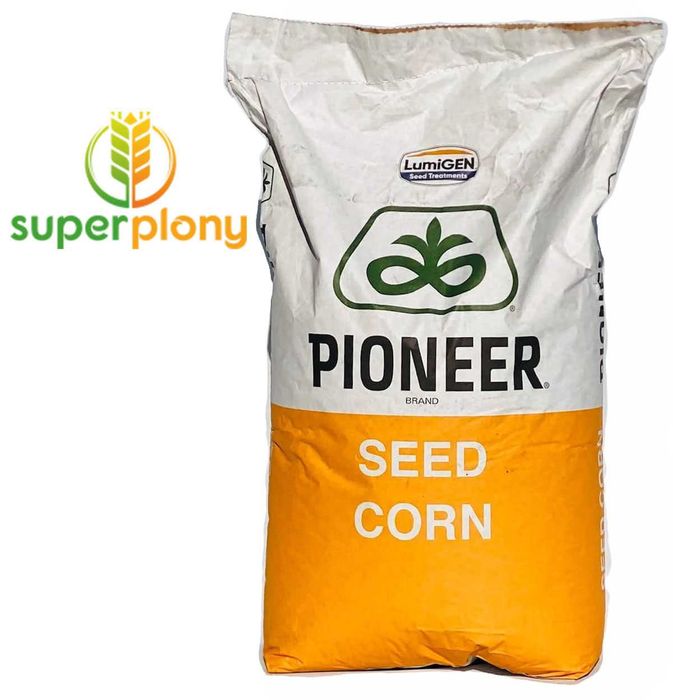 Kukurydza Pioneer P82703 C1 80tys dostawa gratis lub odbiór osobisty