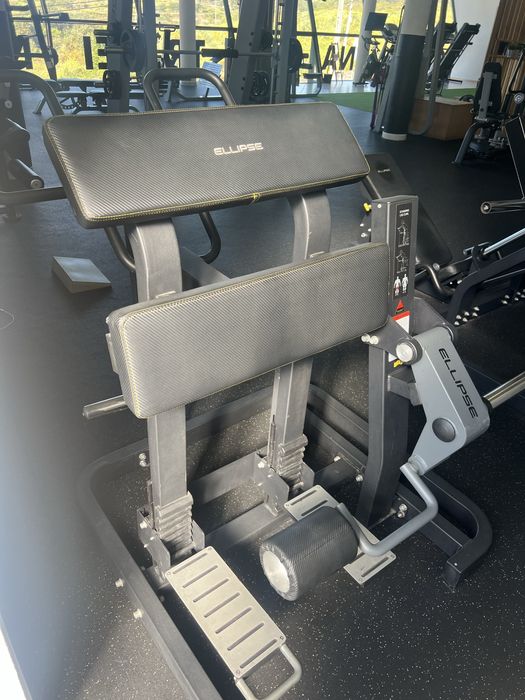 Standing Leg Curl ELLIPSE