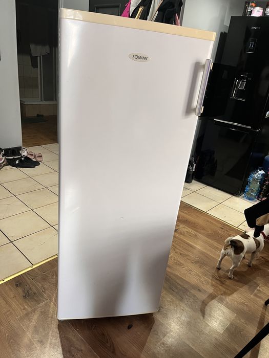 Sprzedam Zamrazalinik