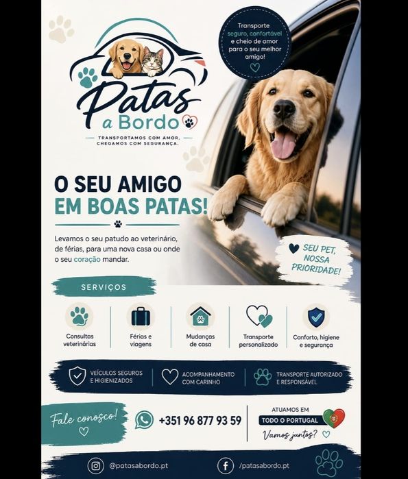 Tomo conta de gatos e caes