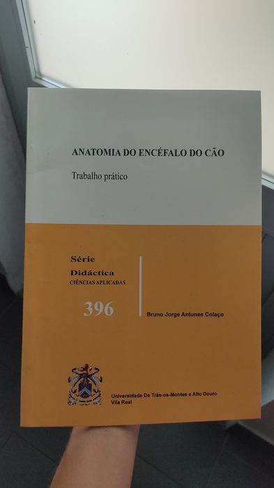 Anatomia do encéfalo do cão