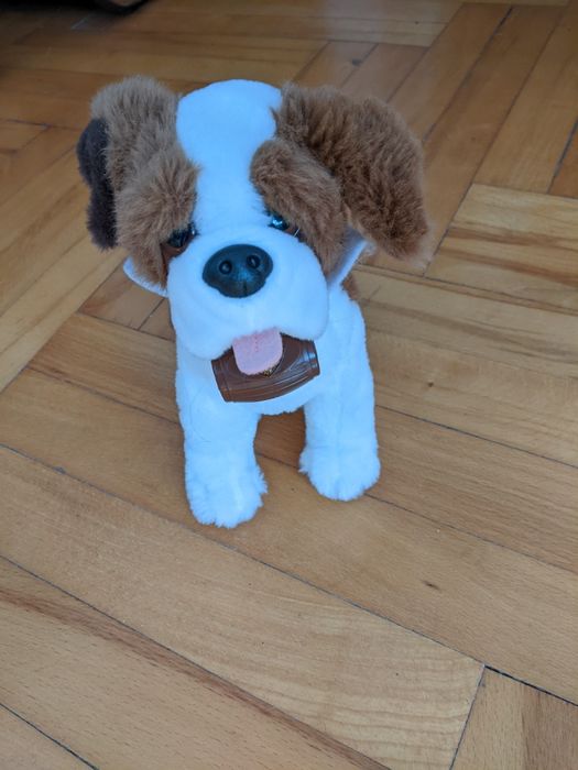 Pluszak bernardyn z beczułka, pies z rodzinki od Świętego Mikołaja