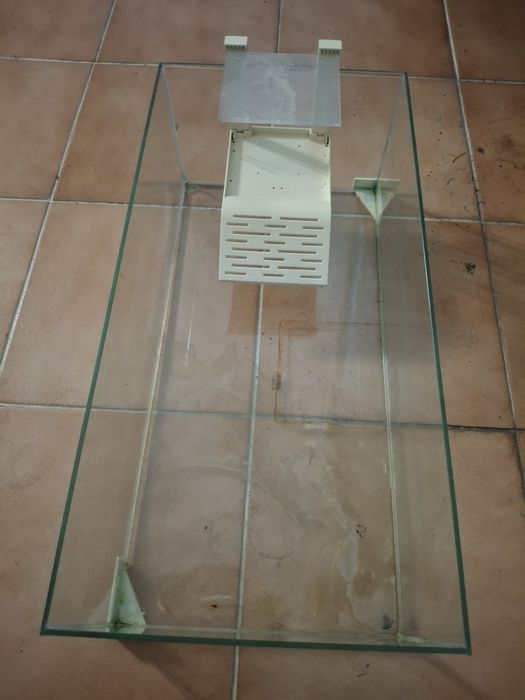 Tartarugueira bom estado