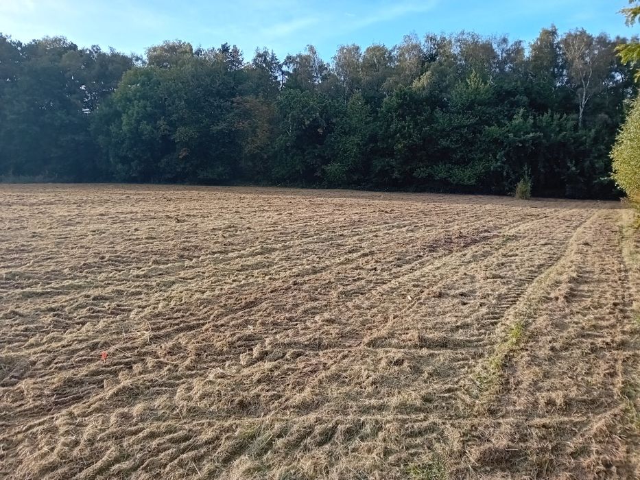 Usługi koszenia traw