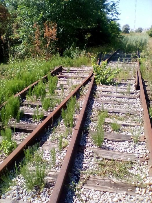 Продаю бізнес в Кагарлику, ділянка 3,4 га, транспортна розв'язка,  .