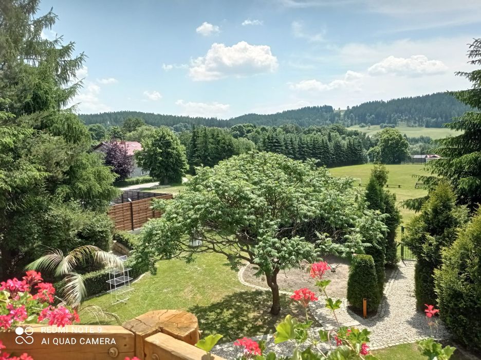 Apartament " Sowianka " Sokolec Góry Sowie