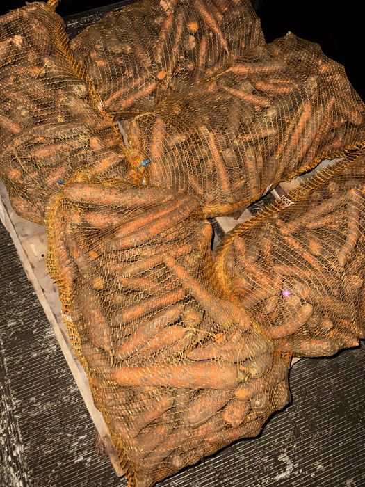 Marchew, buraki odpadowa młoda dowóz