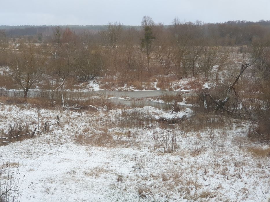 Продам житловий будинок