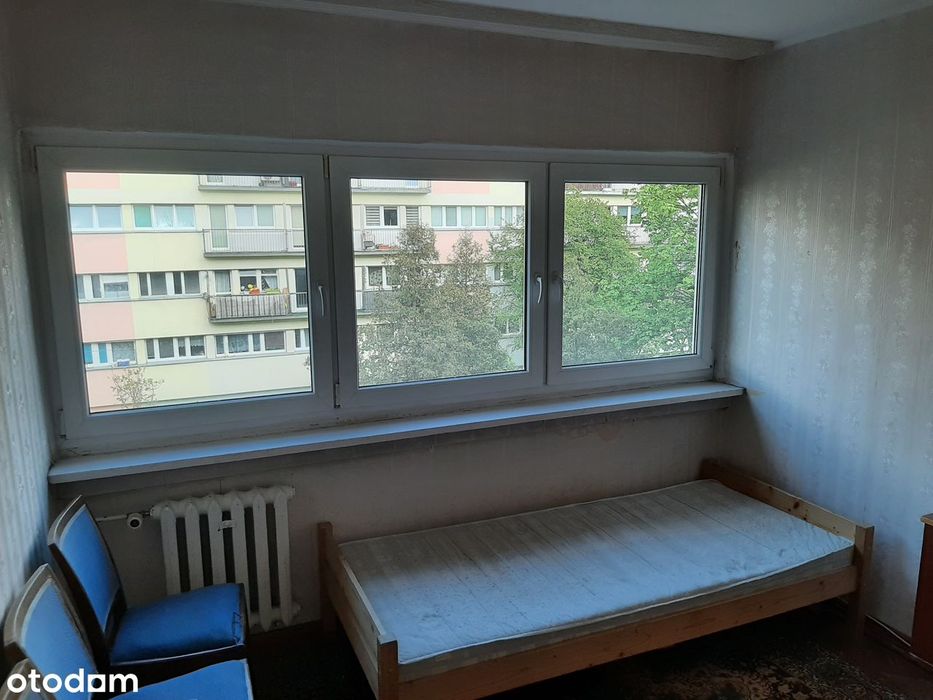 Sprzedam udział 1/2 w lokalu M3 Teofilów Rojna