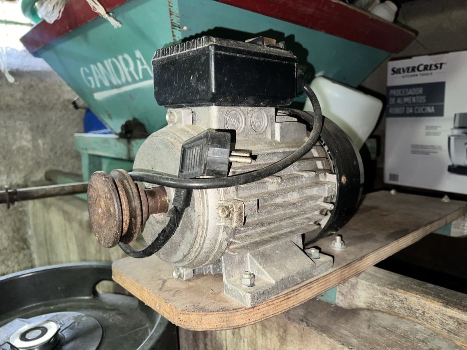 Esmagador de uvas com Motor