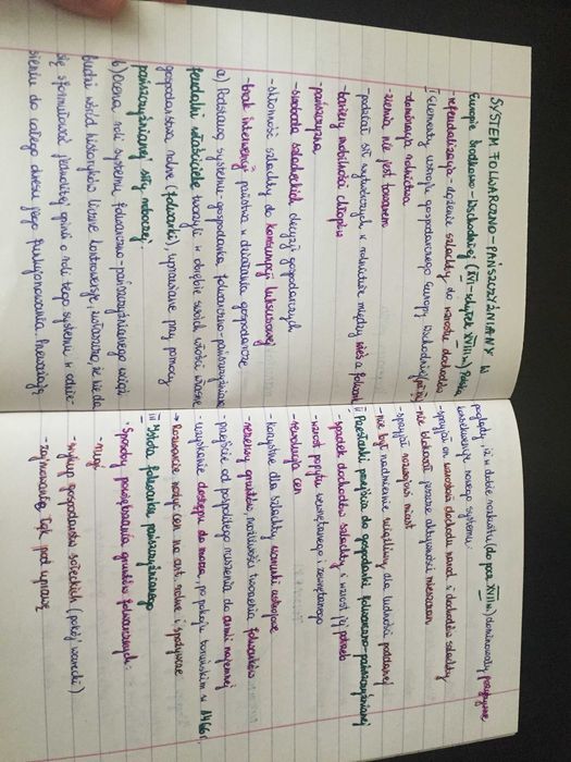 Notatki Historia Gospodarcza UEP