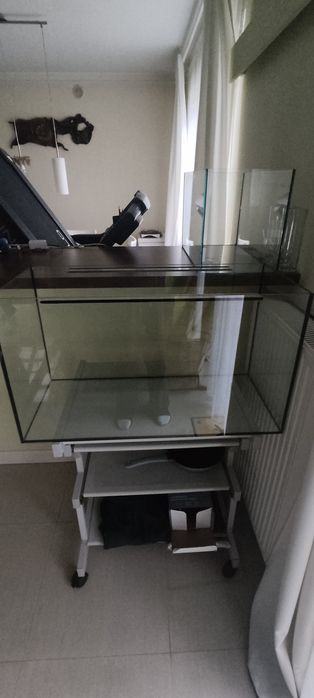 Akwarium około 100 litrów