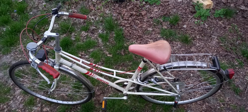 Rower damka Hercules