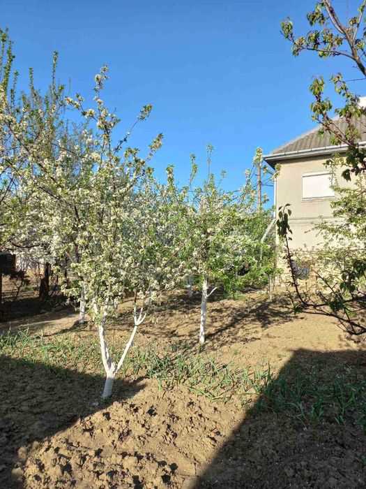 Дом по адресу ул. Капеланська (площадь 99,3 м²) - Atlanta.ua - фото 3