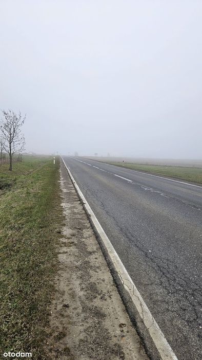 Działka 4700 m2, Piotrów