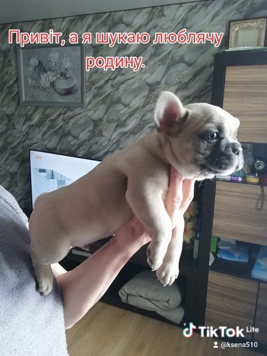 Малеча шукає родини.