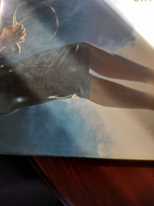 Discos de vinil (vários)