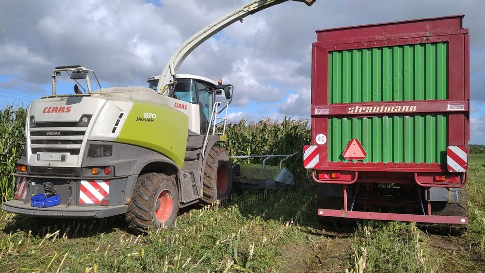 Mobilna mieszalnia pasz młyn pasza śrutowanie gniecenie