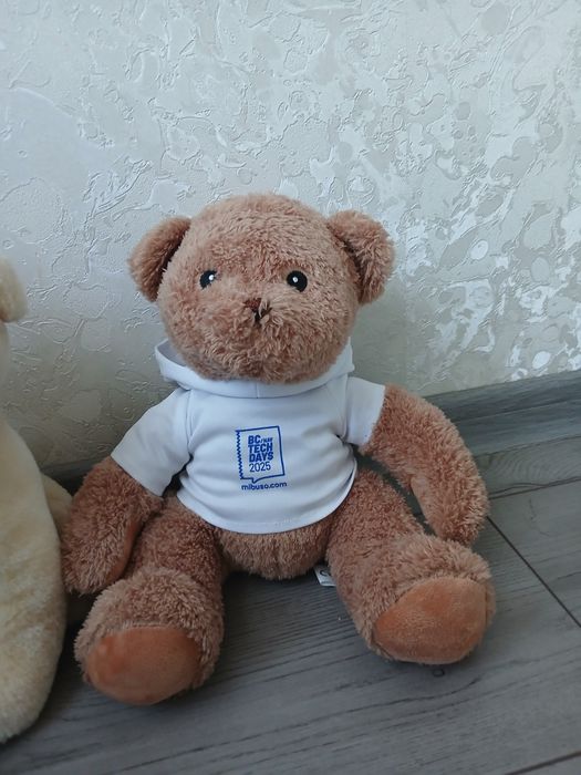М'які іграшки нові