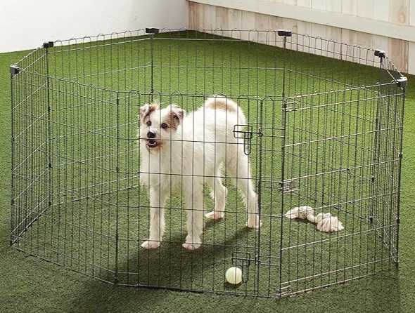 Parque metálico para Cães