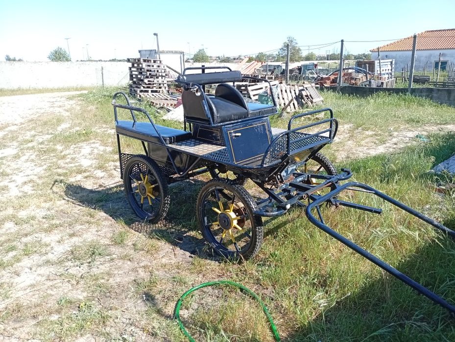 Maratona charrete para cavalo