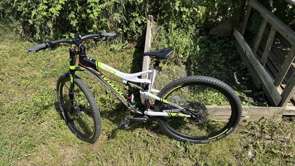 Cannondale Scalpel 29 Carbon TEAM, XL + Lefty Carbon + dropper FOX