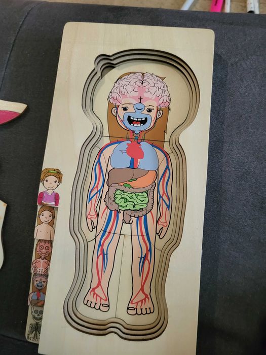 Puzzle drewniane ciało człowieka