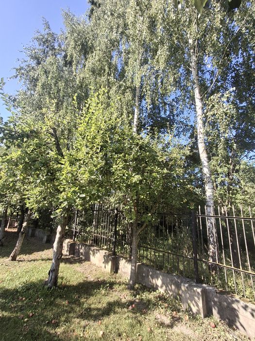 Ексклюзивна пропозиція для бізнесу