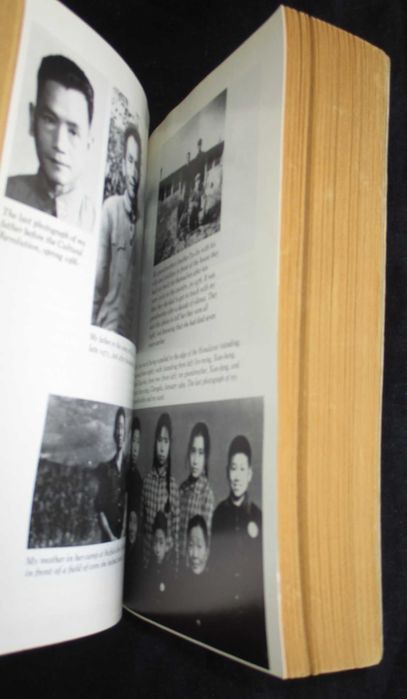 Livro Wild Swans Three Daughters of China Jung Chang
