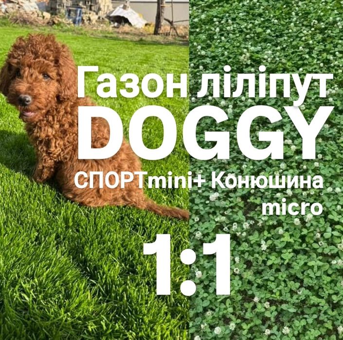 DOGGY 1кг‼️ Доггі газон ліліпут Спорт міні + мікро конюшина насіння