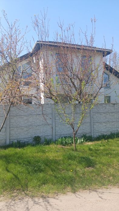Продам будинок 5 км від Знака Кременчук село Піщане