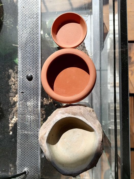 Terrarium dla gekona lamparciego z matą grzewczą + dodatki