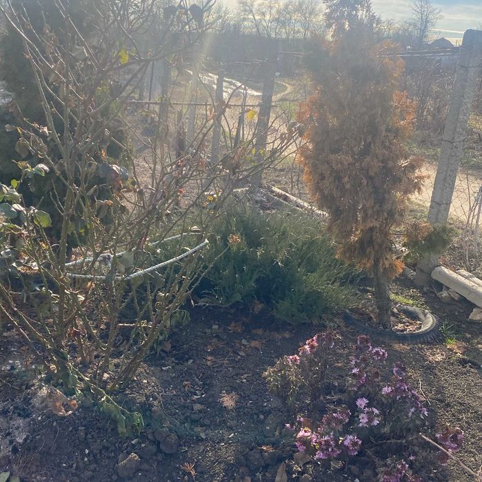 В продаже половина дома в пригороде Одессы с.Марьяновка