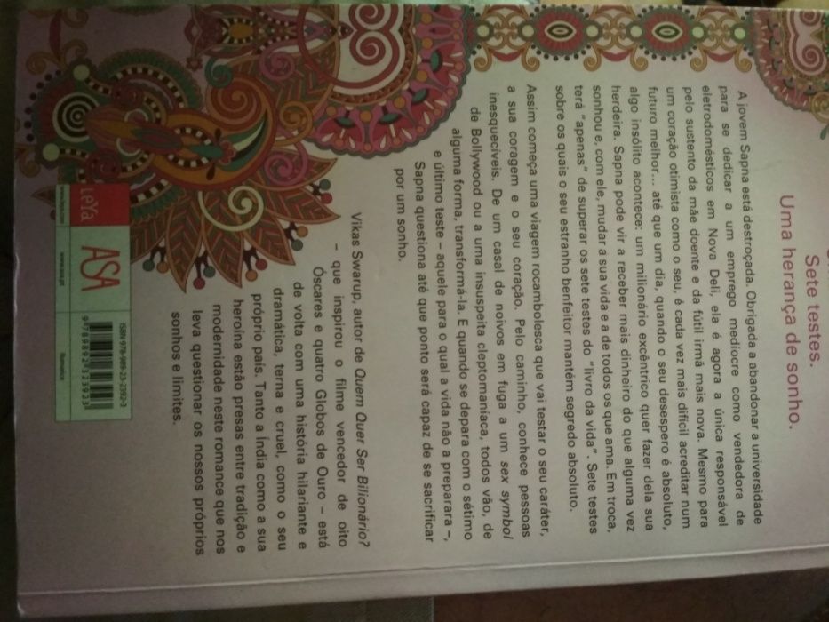 A Herdeira Acidental