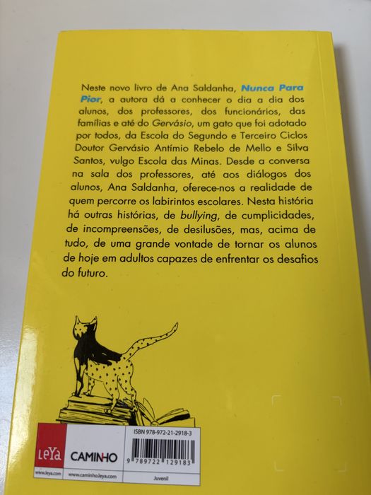 Livro Nunca para Pior de Ana Saldanha
