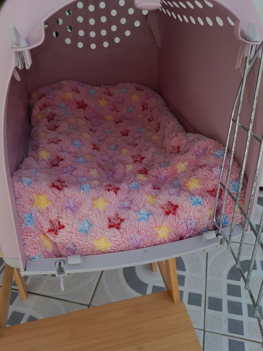 Transportadora de animais de porte pequeno