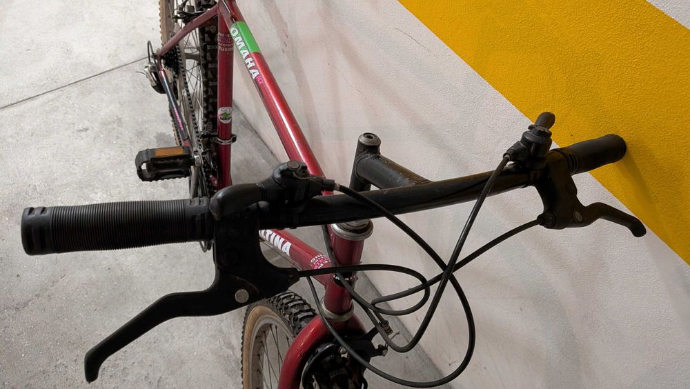 Bicicleta Esmaltina