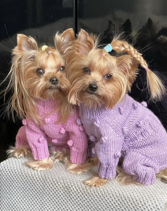 Вязаный комбинезон для собак