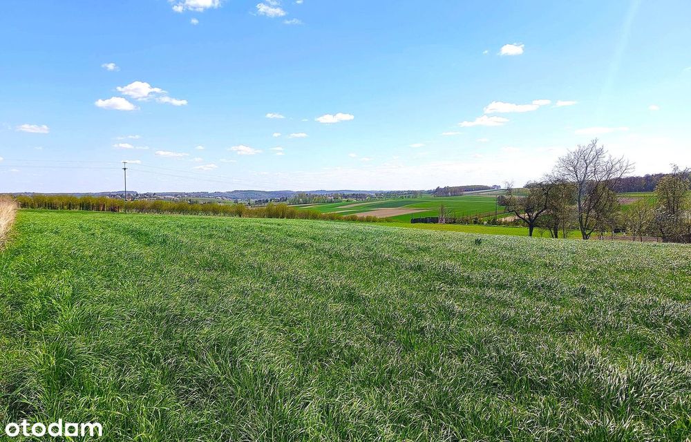 Roztocze - przestrzeń, światło, cisza - Więcej