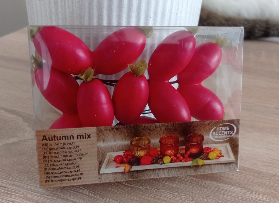 Owoce dekoracja na druciku ozdoba jesień zima