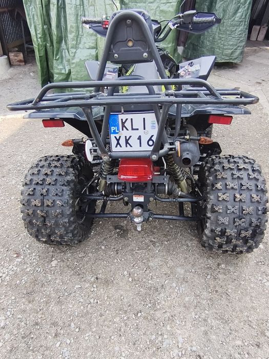 Bashan x-one 250