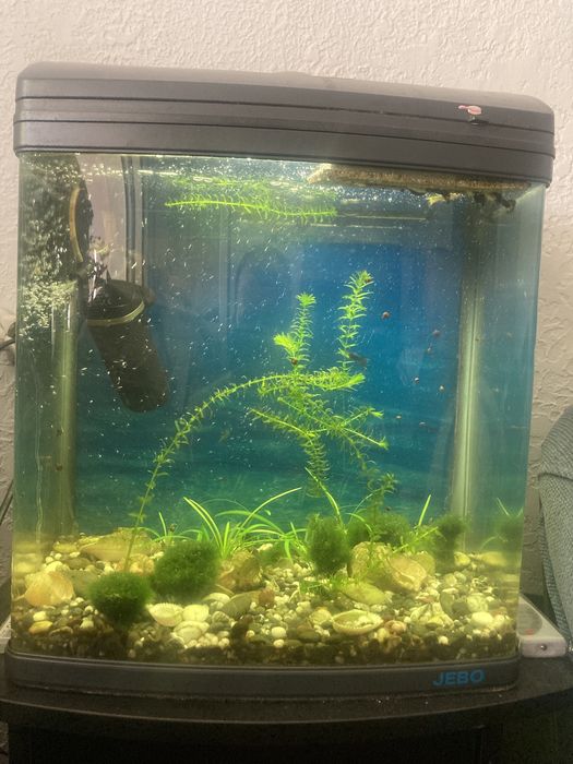 Продам Аквариум JEBO R 338